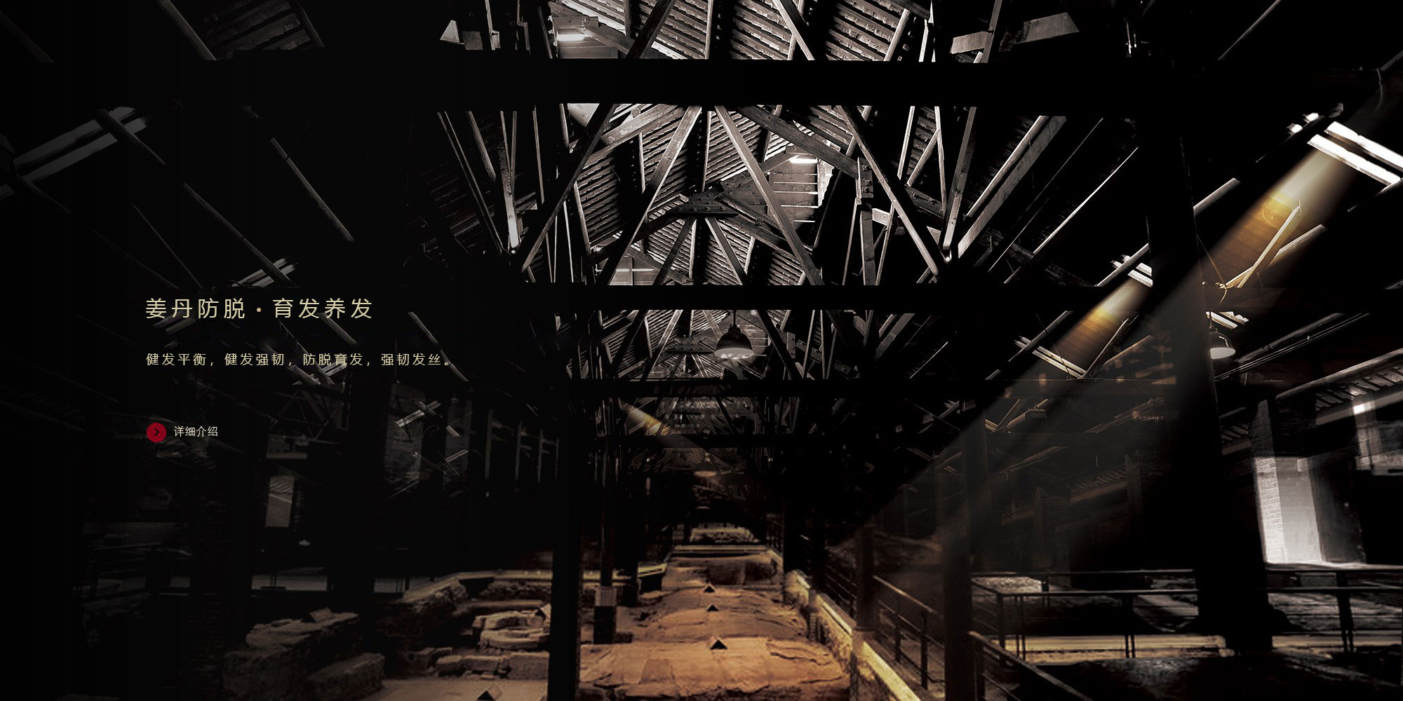 banner1
